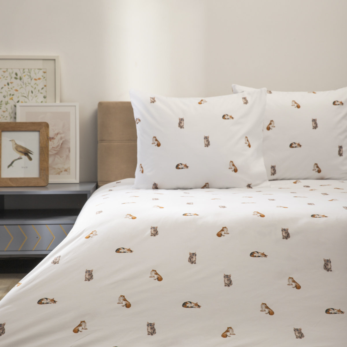 HOMLA POŚCIEL GATTINO z mikrofibry w kotki 160x200 + 2*50x60 cm