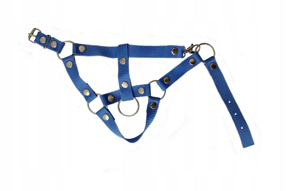 KANTAR DLA HOBBY HORSE A3, NIEBIESKI ZE SREBNYMI NAPAMI