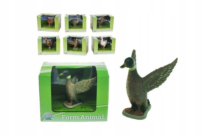 Zwierzeta domowe kaczka kurczak ges 570447 06844