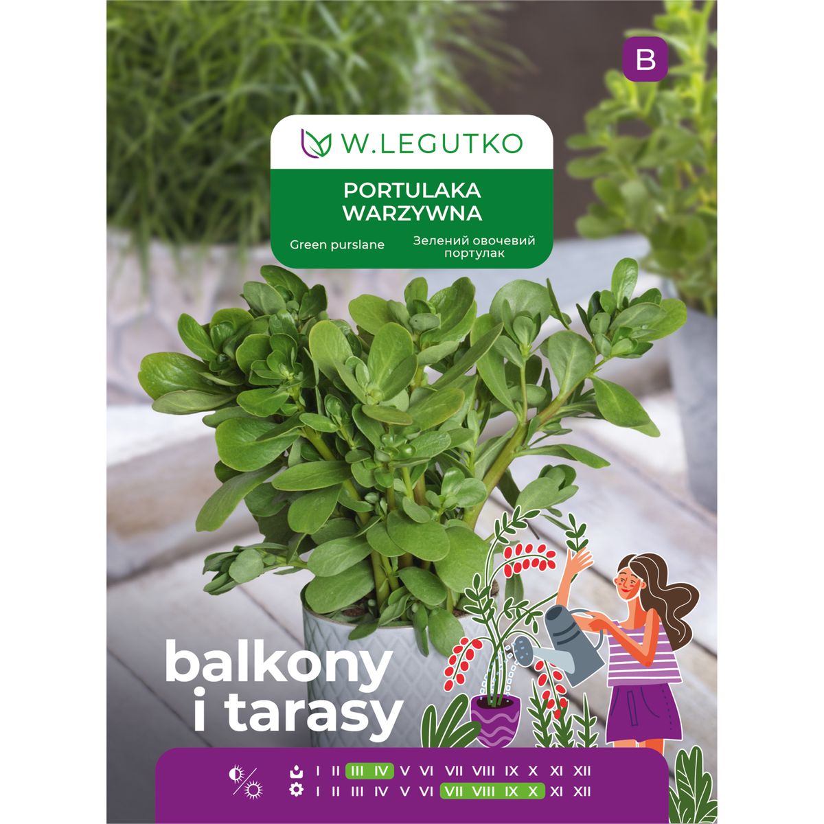Portulaka warzywna zielona nasiona 0.5g W. Legutko