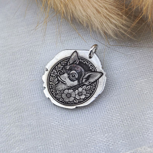 Chihuahua - moneta na szczęście