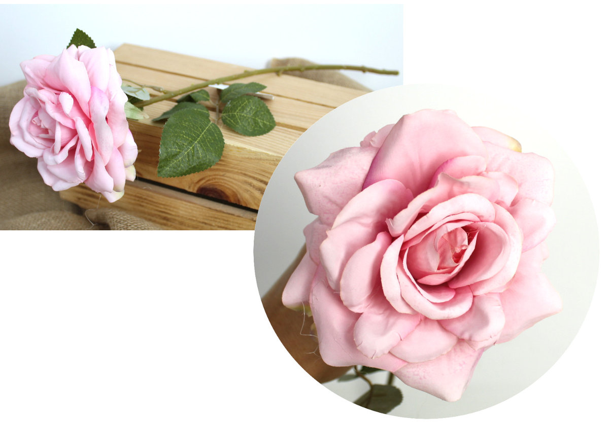 Kwiat Pojedynczy Róża Wys. 50 Cm (Kwiat 12 Cm) Różowa Jasna