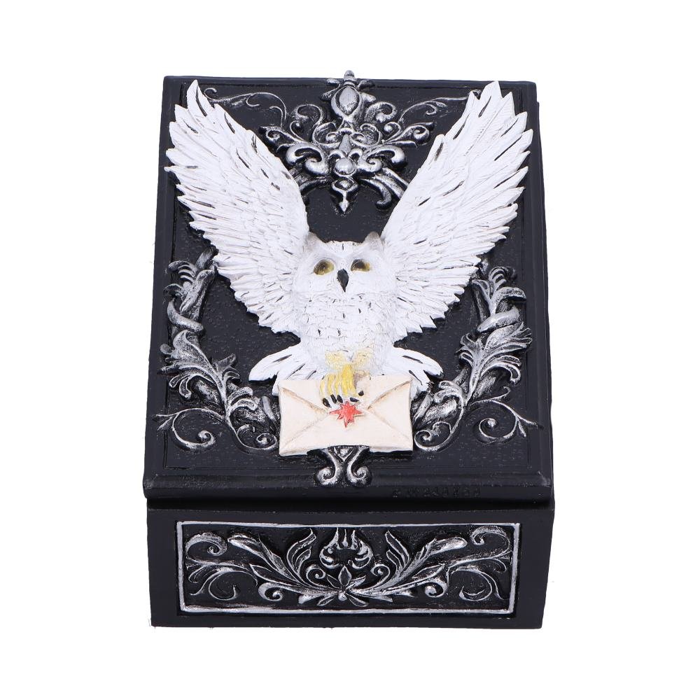 szkatułka OWL MESSENGER