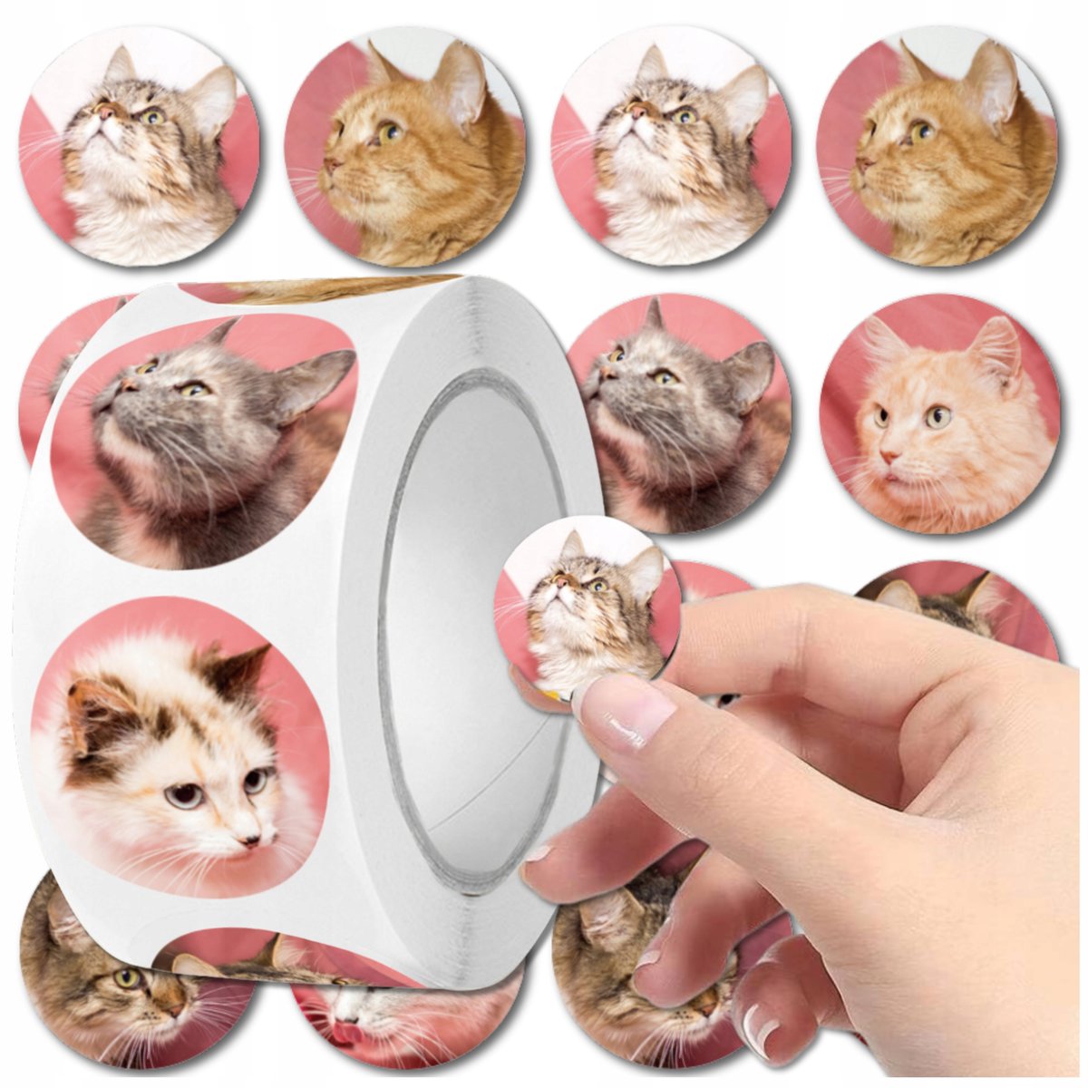 Naklejki KOTKI Kolorowe Realistyczne Na rolce 500 szt. ZESTAW Dla Dzieci