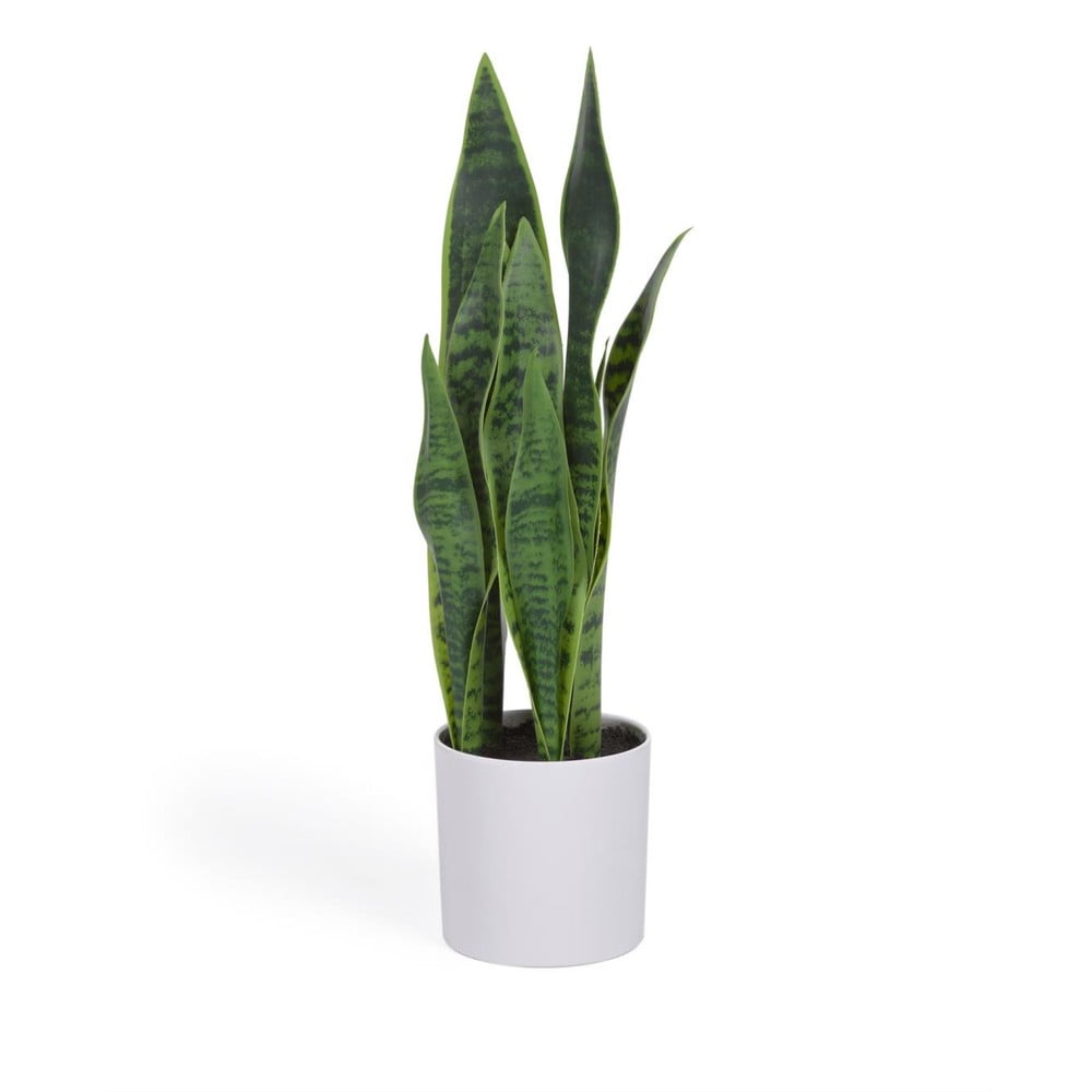 Kave Home Sztuczna roślina (wysokość 55 cm) Sansevieria