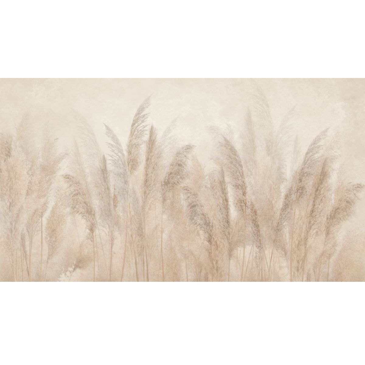 Mural Pampas 500 x 280 cm delikatna struktura