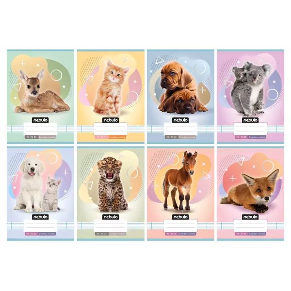 Nebulo: zeszyt w kratkę, A5 - różne