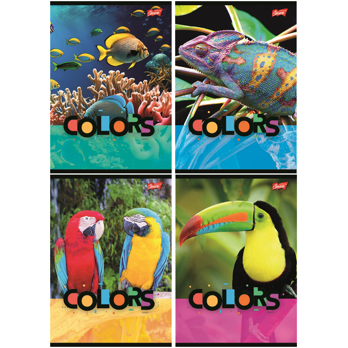 4 SZT. X ZESZYT A5, 32 KARTKI, KRATKA, EXOTIC COLORS, KAŻDY INNY
