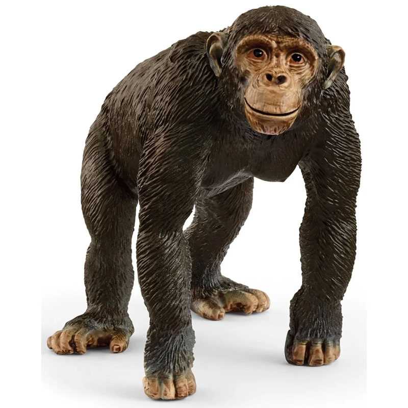 Schleich Wild Life Szympans 14883