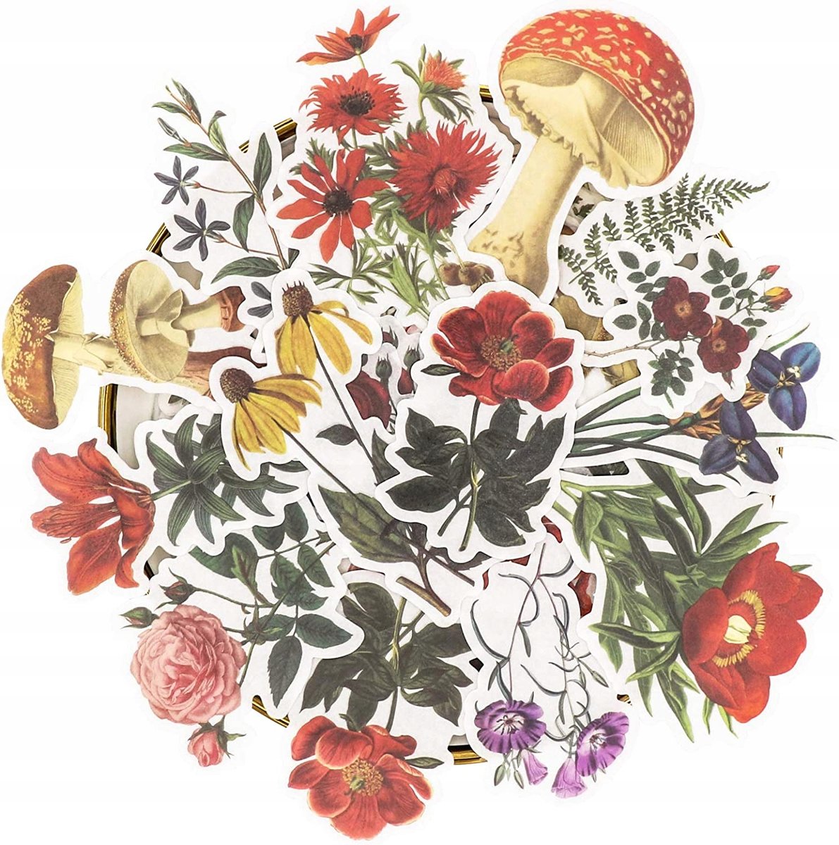 Naklejki Scrapbookingu Dla Dzieci Rośliny Kwiaty