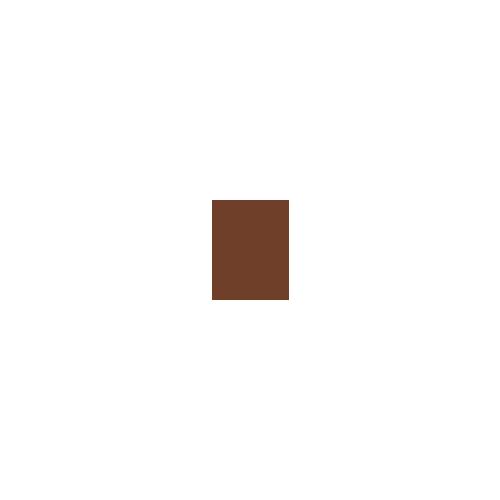 Erborian Super BB Covering Care-Cream SPF20 Krem BB 15 ml Odcień Chocolate