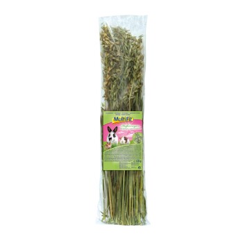 MultiFit Przekąska dla gryzoni Natka owsiana 120 g