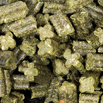 JR Farm Grainless Complete Świnki morskie 15 kg
