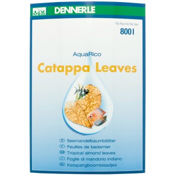 DENNERLE Catappa Leaves 10 sztuk
