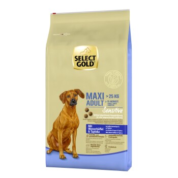 SELECT GOLD Sensitive Adult Maxi Bawół domowy i tapioka 12 kg