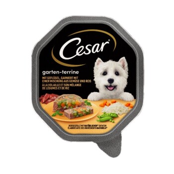 Cesar Bogactwo ogrodu 14 x 150 g Drób, warzywa i ryż