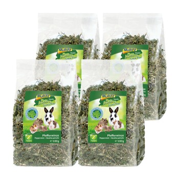 MultiFit Grain Free zioła czteropak Mięta pieprzowa 4x100 g