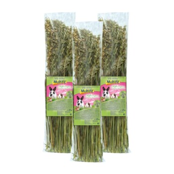 MultiFit Przekąska dla gryzoni Natka owsiana 3x120 g