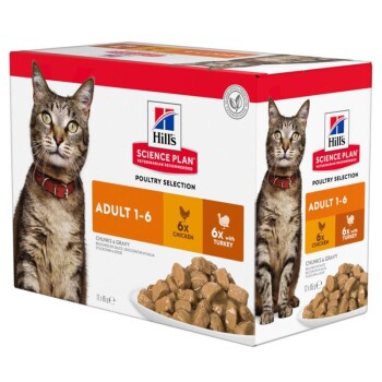 Hill's Science Plan Adult Indyk i kurczak 24x85 g