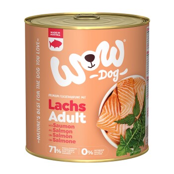 WOW Adult 6 x 800 g Łosoś z mniszkiem lekarskim