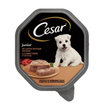 Cesar Junior 14 x 150 g