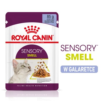 ROYAL CANIN SENSORY Smell Karma mokra w galaretce dla wybrednych kotów 12x85g
