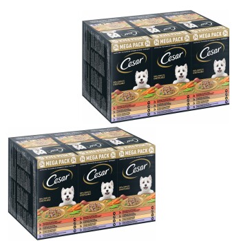 Cesar Multipack Landragout 2 x 24 x 150 g