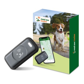 Maxi Zoo lokalizator GPS dla psów szary