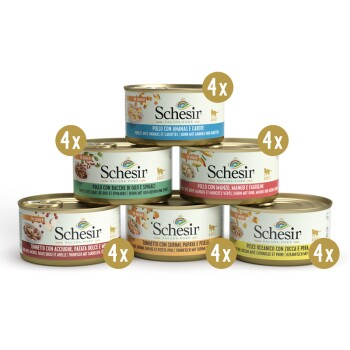 Schesir Wielopak Salads Poke 24 x 85 g