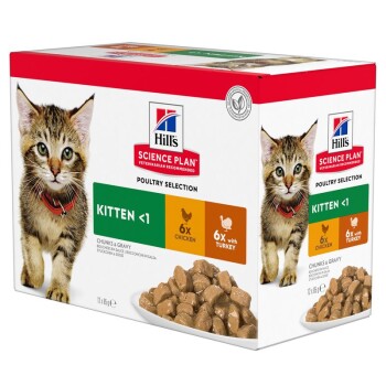 Hill's Science Plan Kitten wielopak Indyk i kurczak 24x85 g