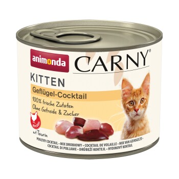 animonda Carny mokra karma dla kociąt Koktajl z drobiem 24x200 g