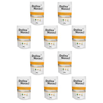 Dolina Noteci Premium Adult bogata w kaczkę z dynią saszetka 10x500 g