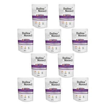 Dolina Noteci Premium Junior bogata w wątróbkę z królika saszetka 10x300 g