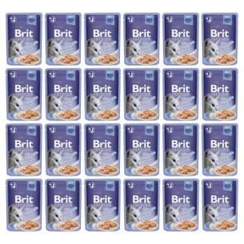 Brit Premium Cat Adult Delicate Fillets in Jelly with Salmon 24 x 85 g