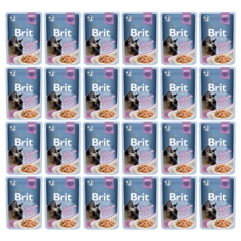 Brit Pouch Gravy Fillets with Salmon 24 x 85 g