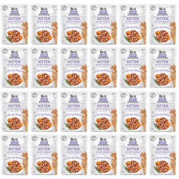 Brit Care Cat Kitten Fillets in Jelly with Savory Salmon 24 x 85g