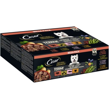 Cesar NATURAL GOODNESS Opakowanie mega Terrine w sosie 4 warianty 24 x 100 g