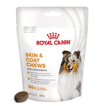 ROYAL CANIN Suplementy Przysmaki do żucia, Dorosły, Skóra i Sierść
