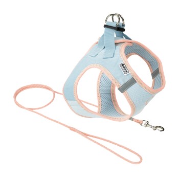 AniOne Pepe&Kitty puppy set blue & apricot XXS