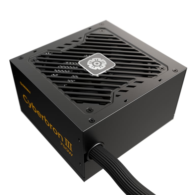 Enermax EMB750EWT-NAC moduł zasilaczy 750 W