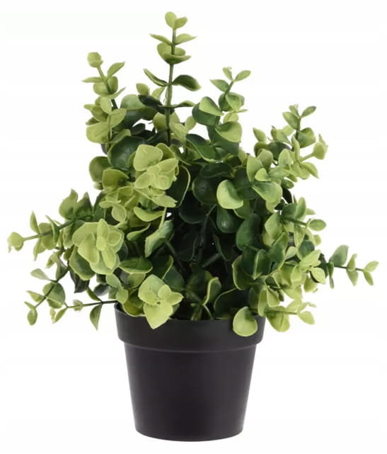 Sztuczna roślina zielona dekoracyjna 23cm W czarnej doniczce