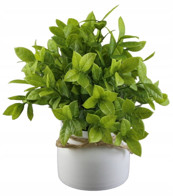 Sztuczna roślina w doniczce 20cm Dekoracyjna, zielona do domu i biura