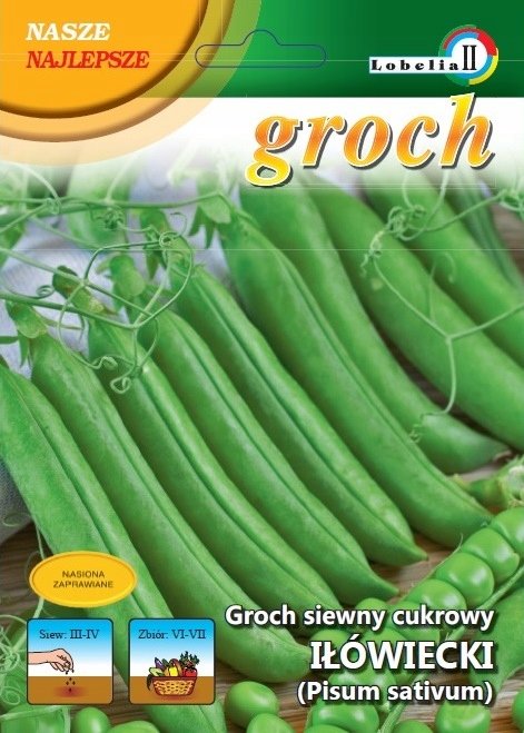 Groch cukrowy Iłówiecki 50g / L /
