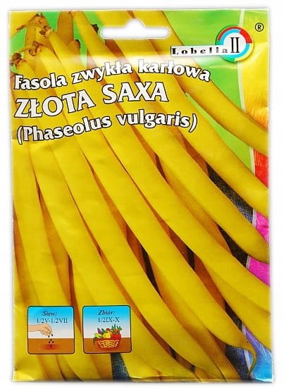 Nasiona fasoli Złota Saxa