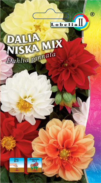 Nasiona KWIATY Dalia Niska Mix 0,5g
