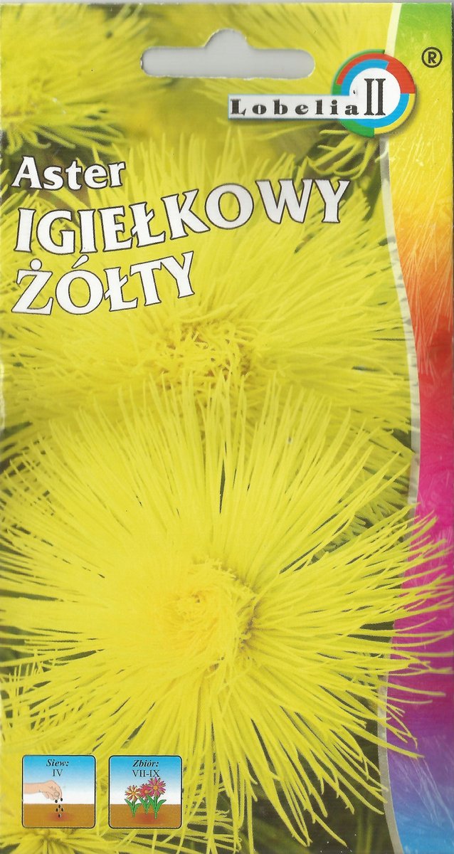 Nasiona KWIATY Aster Igiełkowy żółty 1g