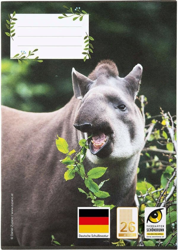 Zeszyt A4 – 40 kartek – kratka –z marginesem