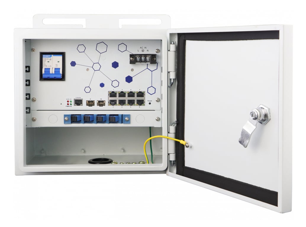 LevelOne OSW-1061 łącza sieciowe Zarządzany L2 2.5G Ethernet (100/1000/2500) Obsługa PoE Czarny OSW-1061