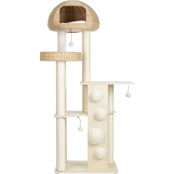 więcej stylu drapak Albertus