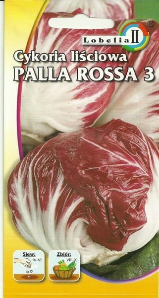 Cykoria Palla Rossa3 5g / L /